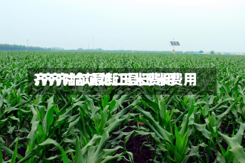 齐齐哈尔最新玉米费用
/齐齐哈尔龙江县玉米费用
-第3张图片