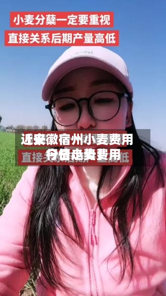 近来
【安徽宿州小麦费用
今日小麦费用
行情走势】-第2张图片