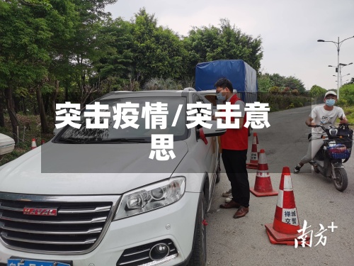 突击疫情/突击意思