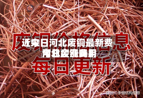 近来【今日河北废铜最新费用河北废铜费用今日会涨吗】