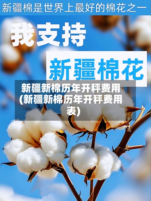 新疆新棉历年开秤费用
(新疆新棉历年开秤费用
表)-第2张图片