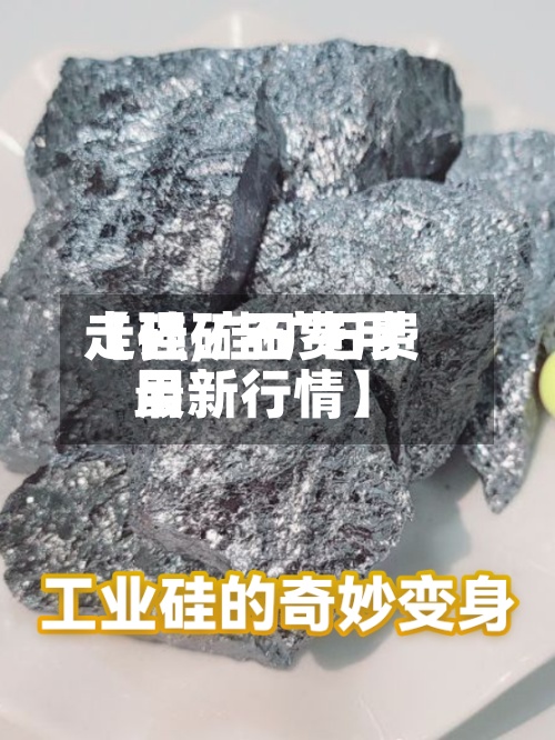 【硅矿石费用
走强,硅矿石费用
最新行情】-第2张图片