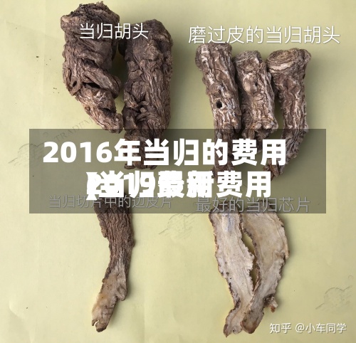 2016年当归的费用(当归费用2019最新费用)