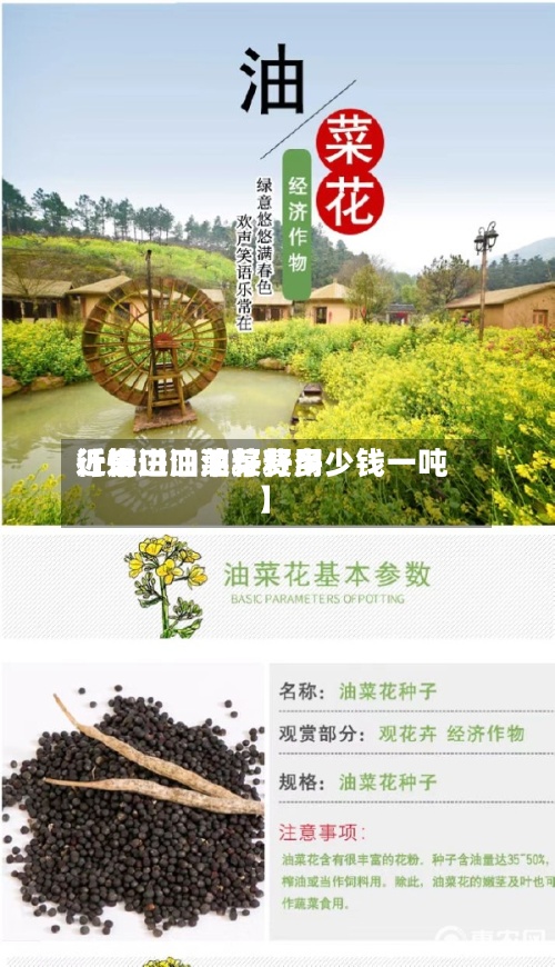 近来【进口油菜籽费用行情进口油菜籽多少钱一吨】