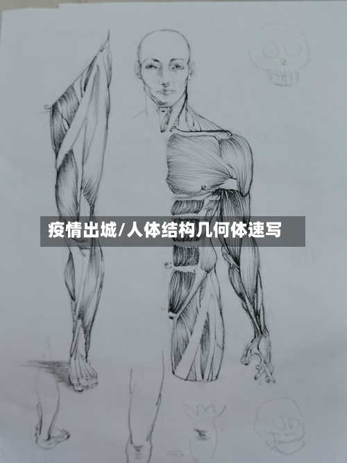 疫情出城/人体结构几何体速写