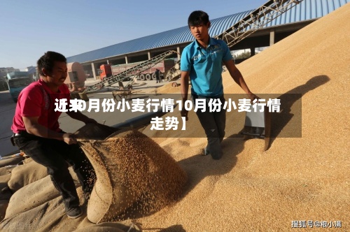 近来
【10月份小麦行情10月份小麦行情走势】-第2张图片
