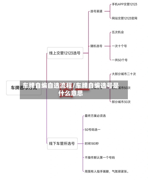车牌自编自选流程/车牌自编选号是什么意思
