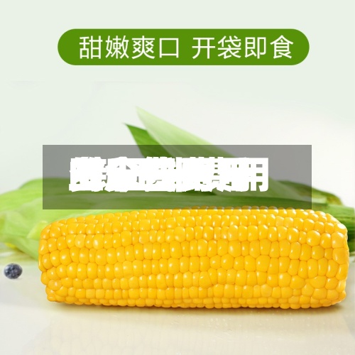 玉米费用的今日费用/新玉米费用多少钱一斤