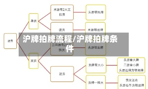 沪牌拍牌流程/沪牌拍牌条件-第2张图片