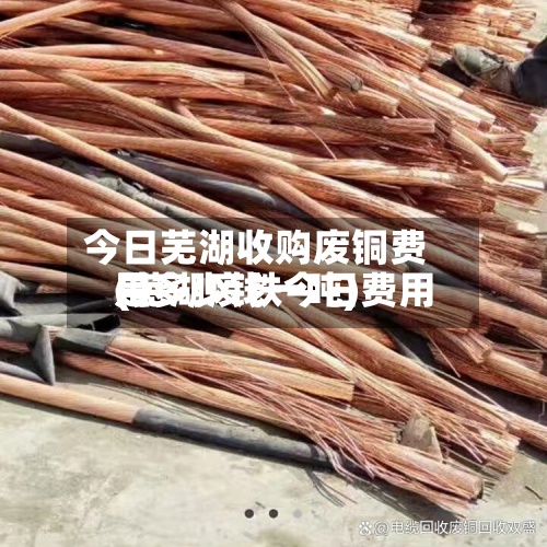 今日芜湖收购废铜费用(芜湖废铁今日费用是多少钱一吨)-第2张图片