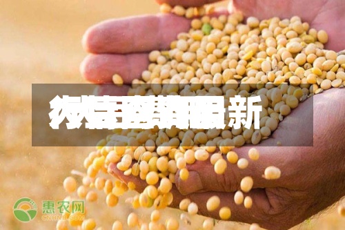 大豆网费用
/大豆费用
行情查询最新-第2张图片