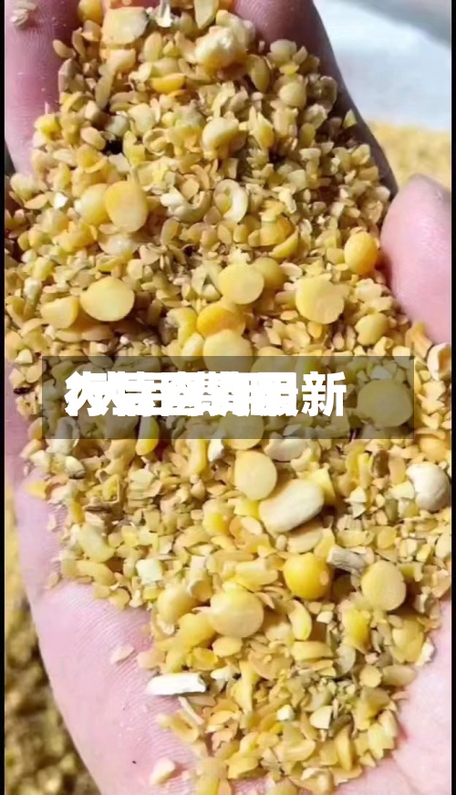 大豆网费用/大豆费用行情查询最新