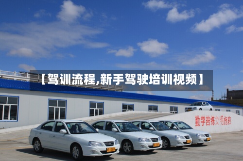 【驾训流程,新手驾驶培训视频】-第2张图片