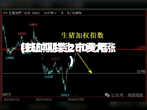 铁矿期货上市费用
(铁矿期货2609大涨)-第2张图片