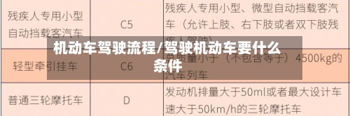 机动车驾驶流程/驾驶机动车要什么条件