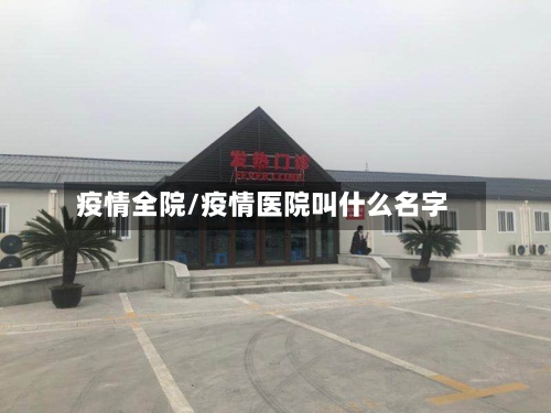 疫情全院/疫情医院叫什么名字-第3张图片