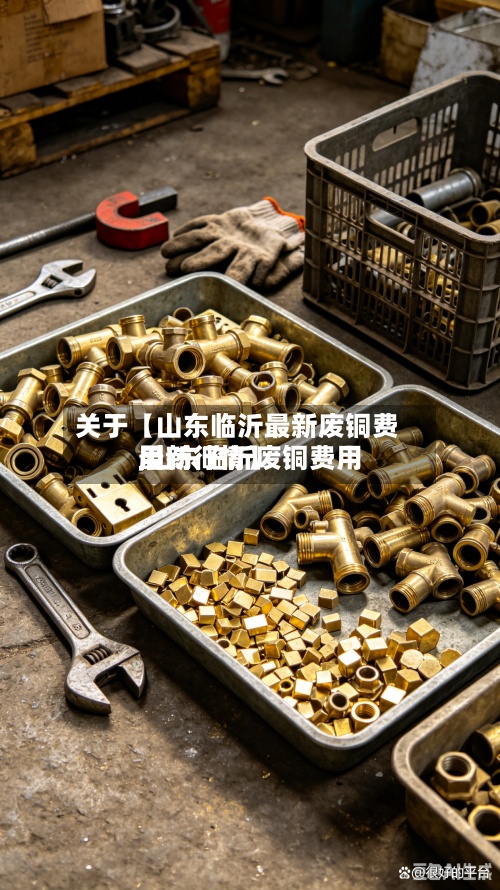 关于【山东临沂最新废铜费用
,山东临沂废铜费用
最新行情】-第2张图片