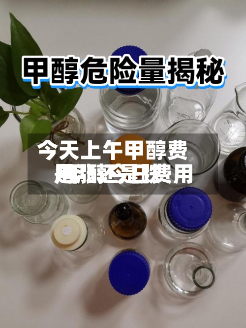 今天上午甲醇费用/甲醇今日费用是涨还是跌
