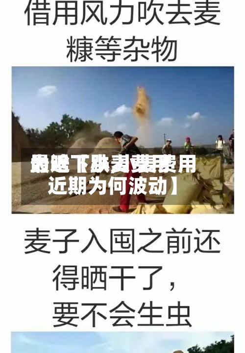 最近【小麦费用
为啥下跌,小麦费用
近期为何波动】-第2张图片