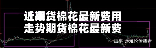 近来
【期货棉花最新费用
走势期货棉花最新费用
走势预测】-第3张图片