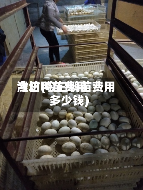 今日鸭苗费用
潍坊(今曰鸭苗费用
多少钱)-第2张图片