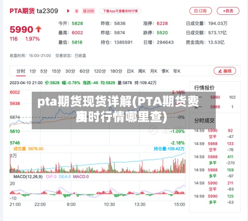 pta期货现货详解(PTA期货费用
实时行情哪里查)-第2张图片
