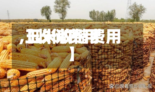 【收储费用,玉米收储费用】