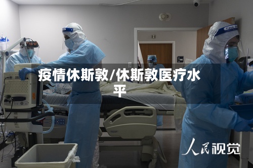 疫情休斯敦/休斯敦医疗水平