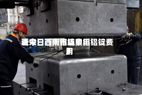 近来
【今日西南铝锭费用
表今日西南市场中铝铝锭费用
】-第2张图片