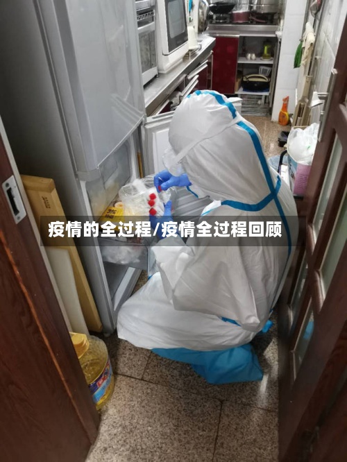 疫情的全过程/疫情全过程回顾-第2张图片