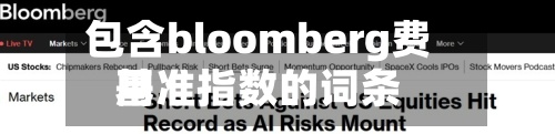 包含bloomberg费用
基准指数的词条-第2张图片