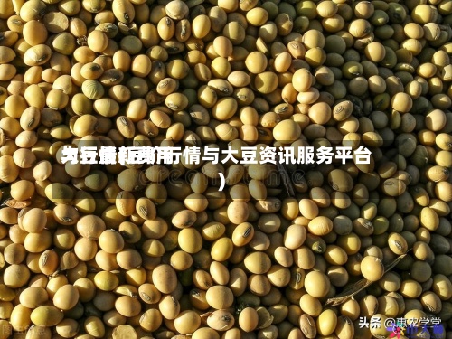 大豆最新费用与行情(豆价行情与大豆资讯服务平台)