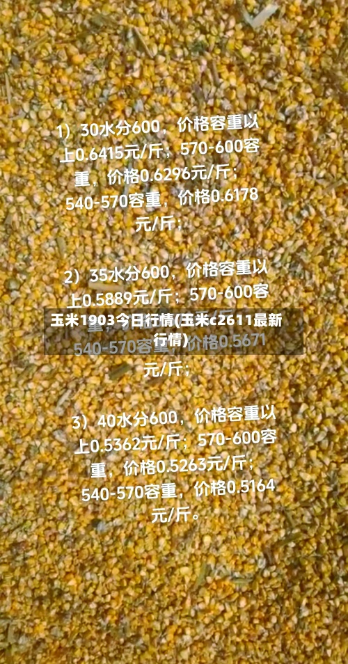 玉米1903今日行情(玉米c2611最新行情)-第2张图片
