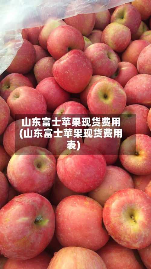 山东富士苹果现货费用(山东富士苹果现货费用表)