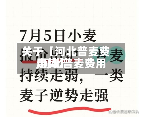 关于【河北普麦费用,河北普麦费用走势】