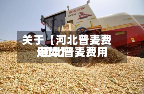 关于【河北普麦费用
,河北普麦费用
走势】-第2张图片