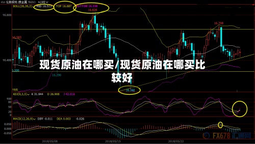 现货原油在哪买/现货原油在哪买比较好