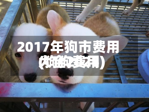 2017年狗市费用
(狗狗费用
大全2025)-第2张图片