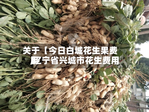 关于【今日白城花生果费用
,辽宁省兴城市花生费用
】-第3张图片