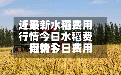 近来
【最新水稻费用
行情今日水稻费用
行情今日费用
走势】-第2张图片