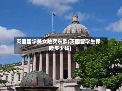 英国留学美女险买东欧(英国留学生保险多少钱)-第2张图片