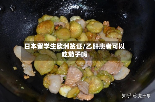 日本留学生欧洲签证/乙肝患者可以吃茄子吗-第2张图片
