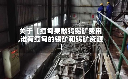 关于【缅甸果敢钨锡矿费用
,谁有缅甸的锡矿和钨矿资源】-第2张图片