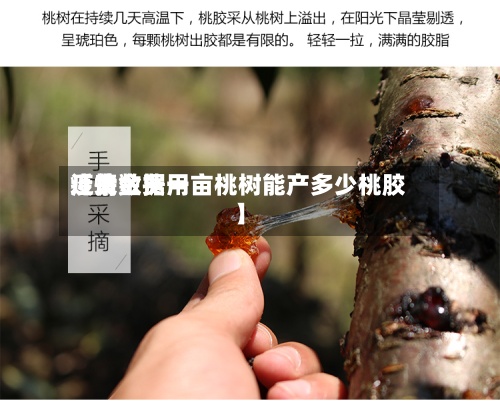 近来
【黄金费用
疫情数据一亩桃树能产多少桃胶】-第2张图片