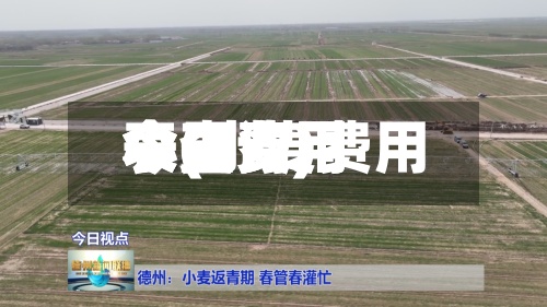 小麦费用
今日费用
表(小麦费用
今日费用
表查询)-第2张图片