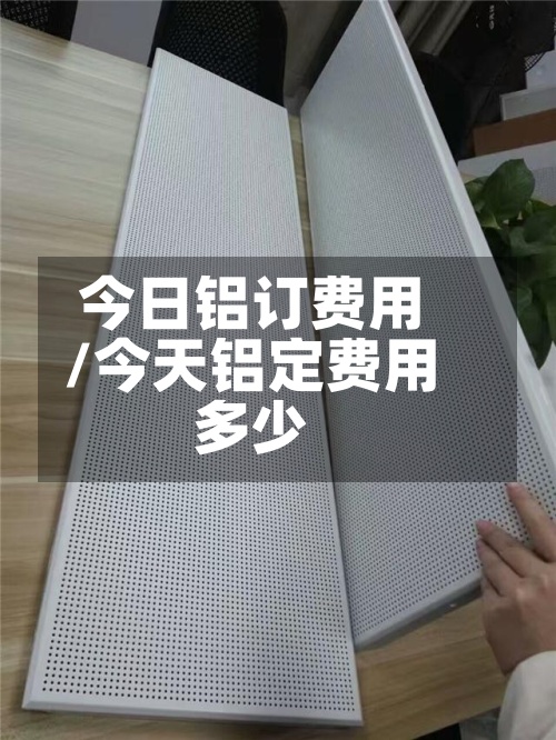 今日铝订费用/今天铝定费用多少-第3张图片