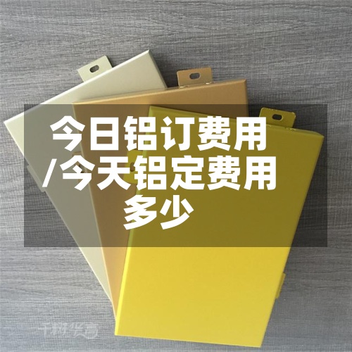 今日铝订费用/今天铝定费用多少-第2张图片