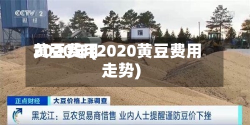 黄豆费用2020年(2020黄豆费用走势)