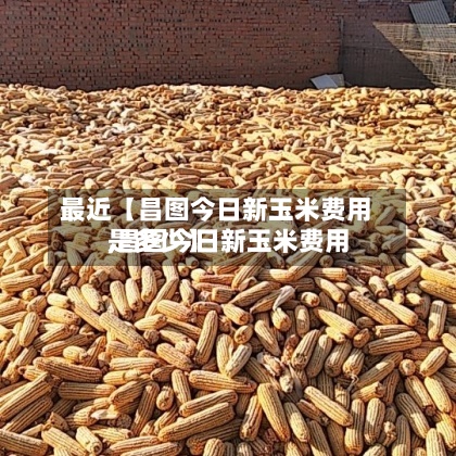 最近【昌图今日新玉米费用
,昌图今日新玉米费用
是多少】-第2张图片