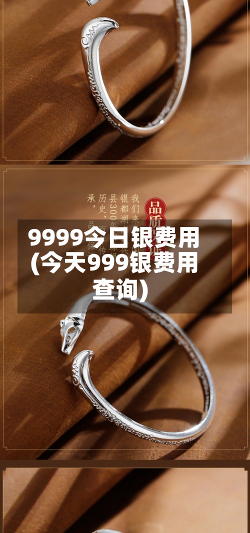 9999今日银费用(今天999银费用查询)